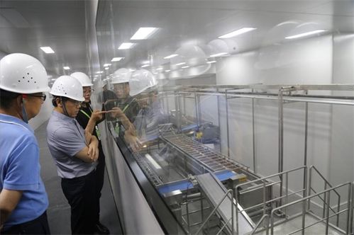 全国首张 竹叶粉 食品生产许可证落户雅安芦山
