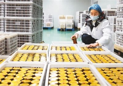 稳居第一,小小罐头闯世界